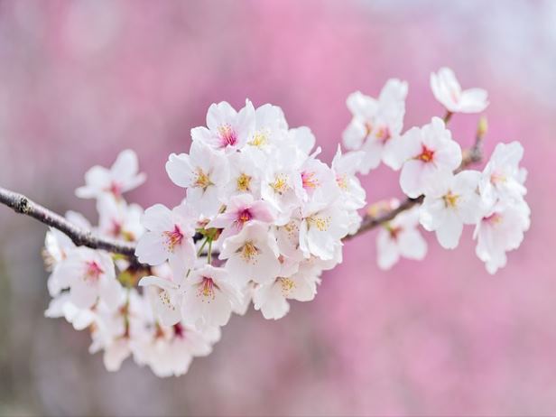 산업단지 사업시행자 세금